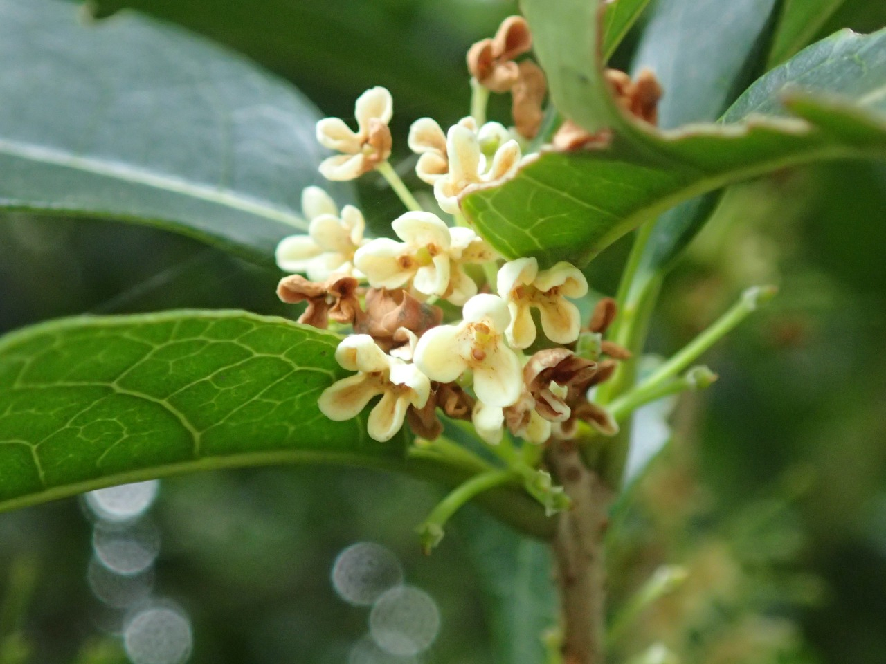 PA050157.JPG