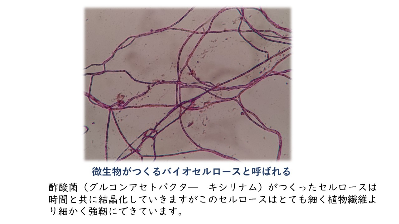 バイオセルロース.jpg