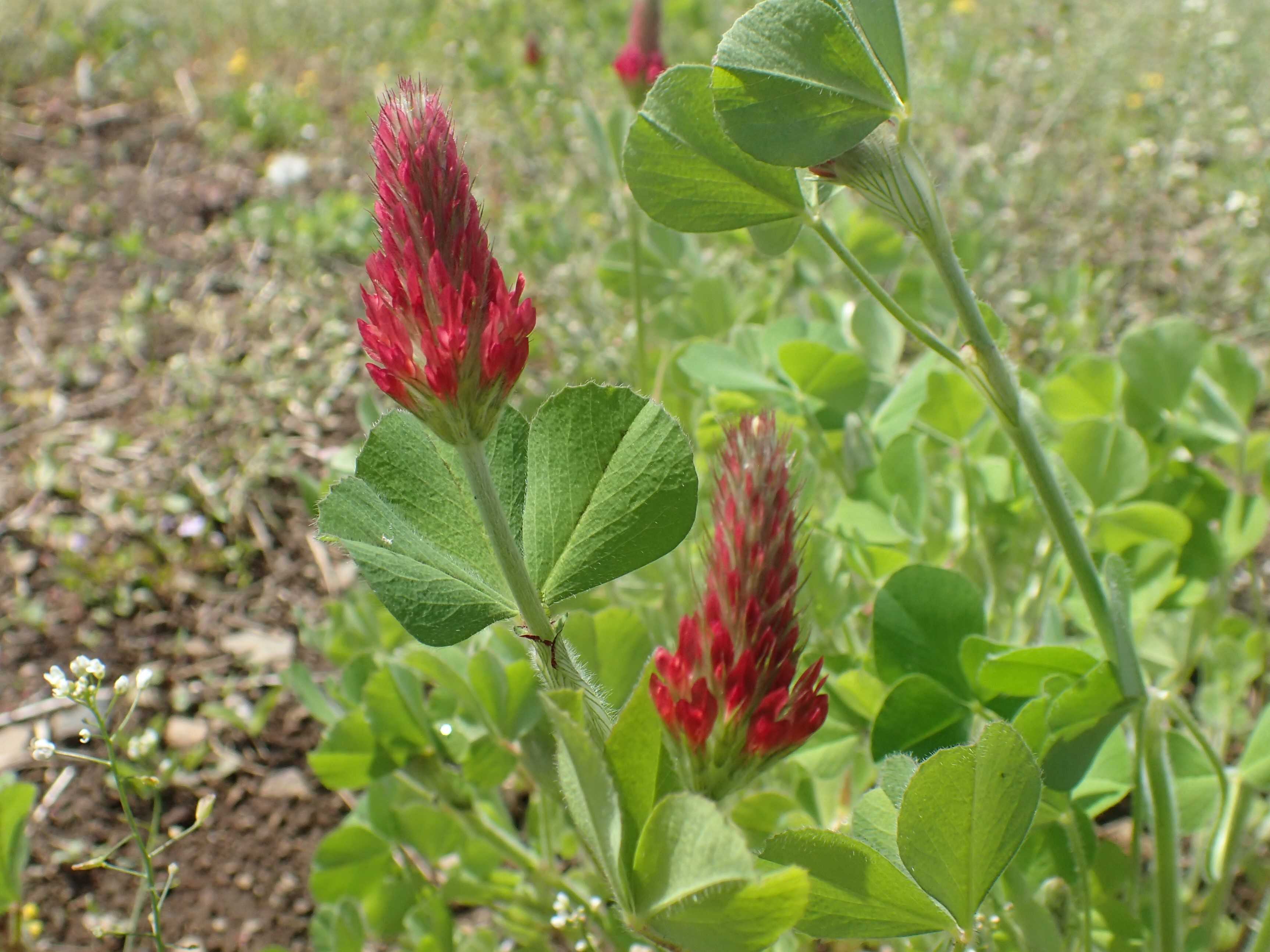 P4160203.JPG
