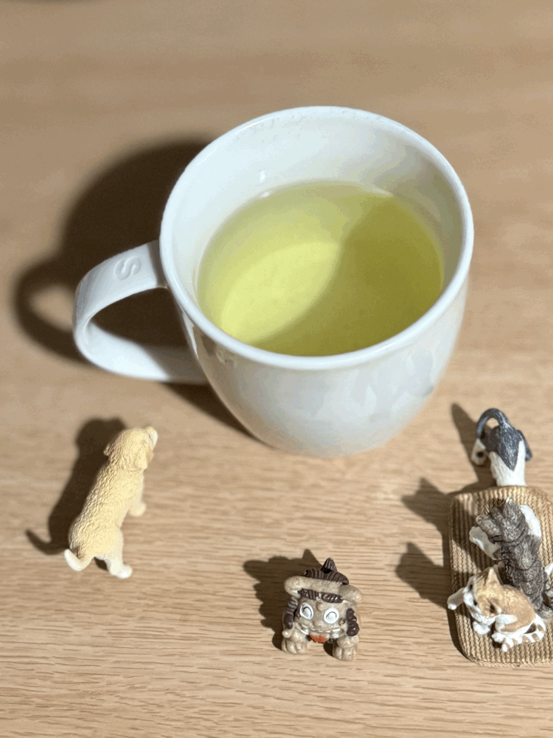 tempImageqF3sDF.gif