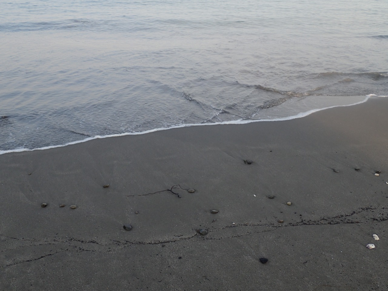 P8110251.JPG