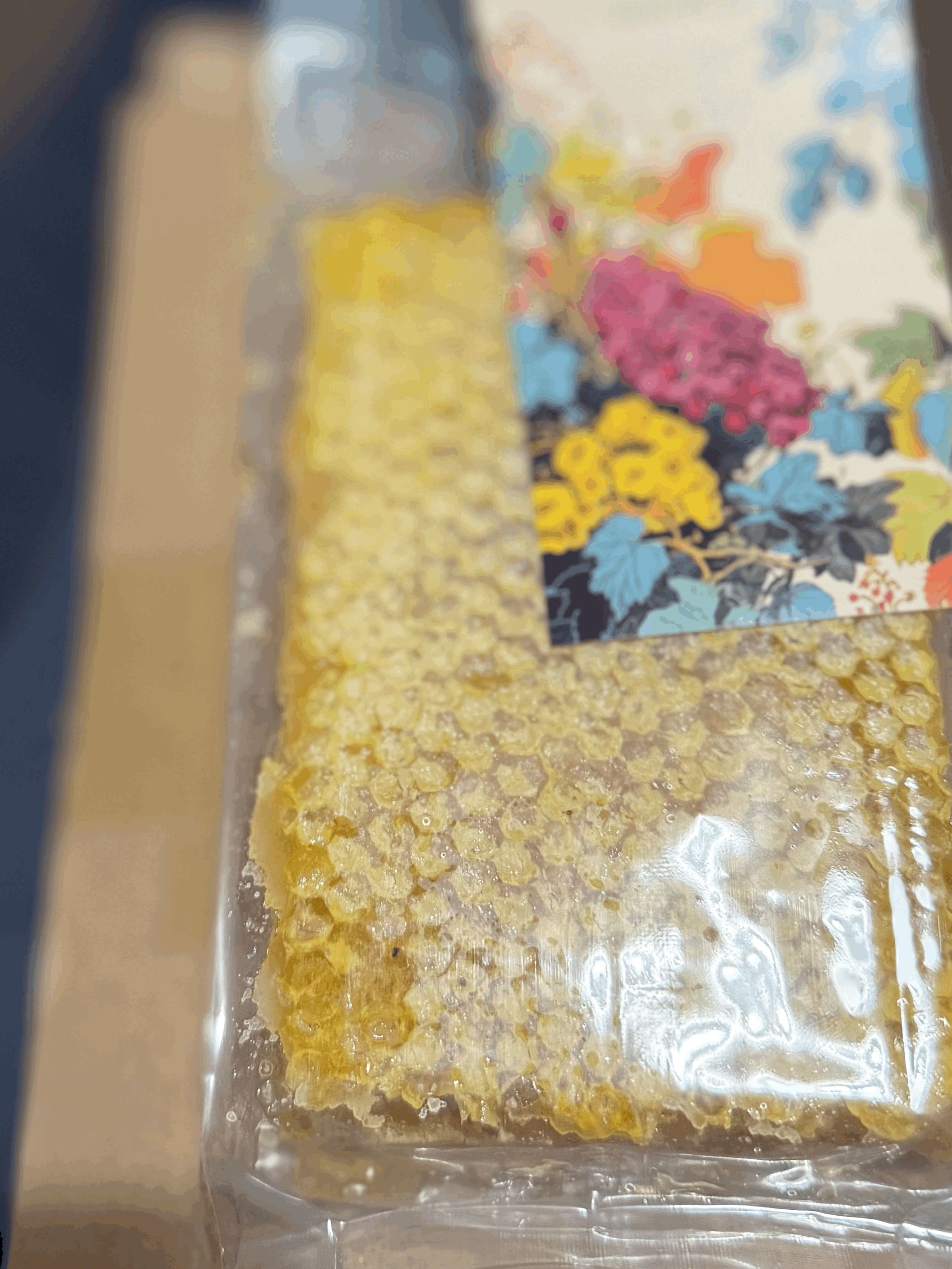 tempImagenACpzO.gif