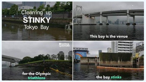 東京湾の水質.jpg