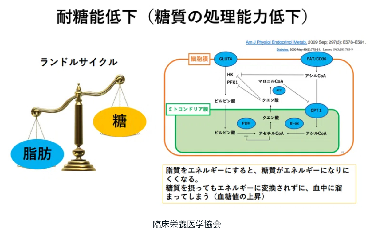 スクリーンショット 2024-06-19 13.07.00.png