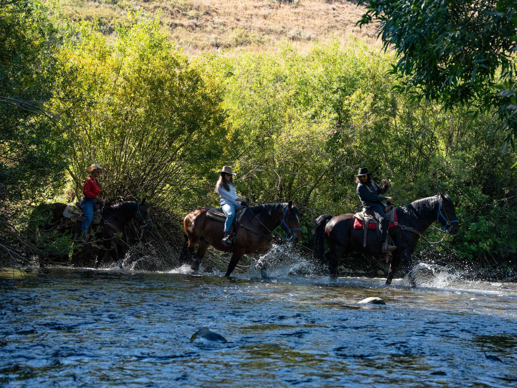 svr_dollar_horseback_2023_4.jpg