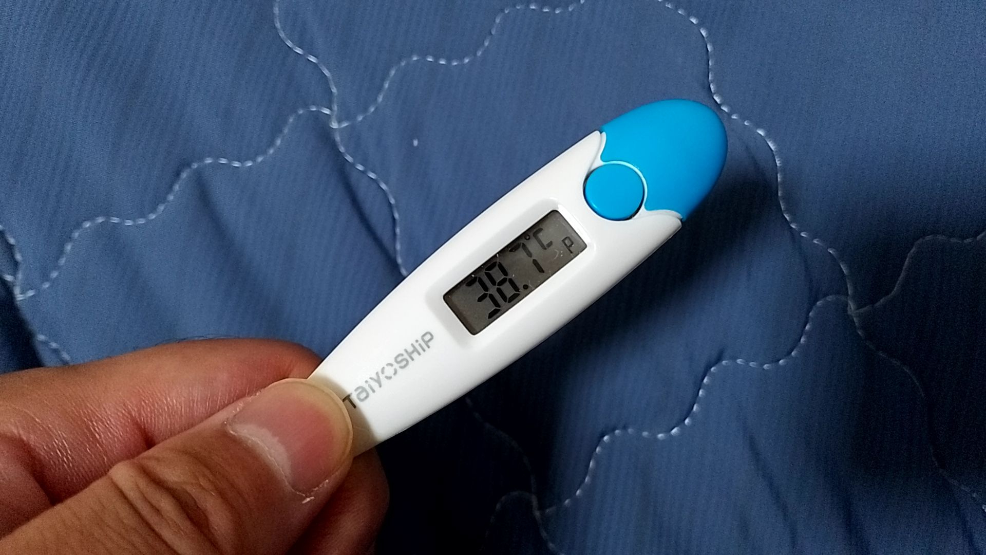 8632.jpg