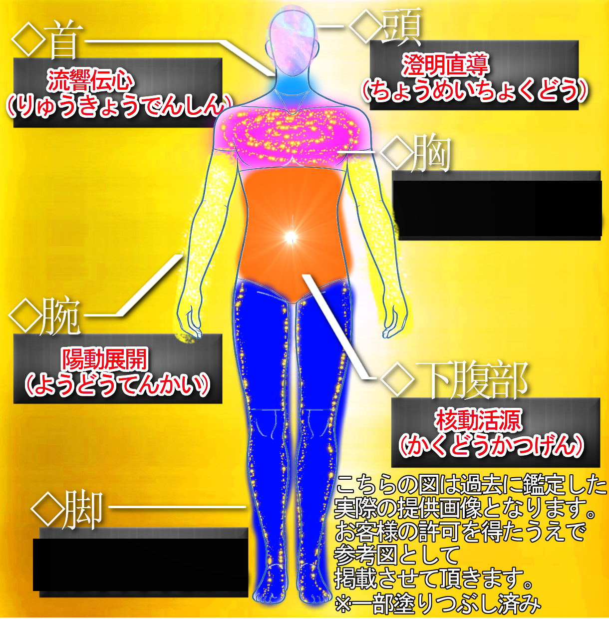 霊式魂導図サンプルC様.png