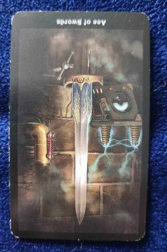 20240501_085105 (002).jpg