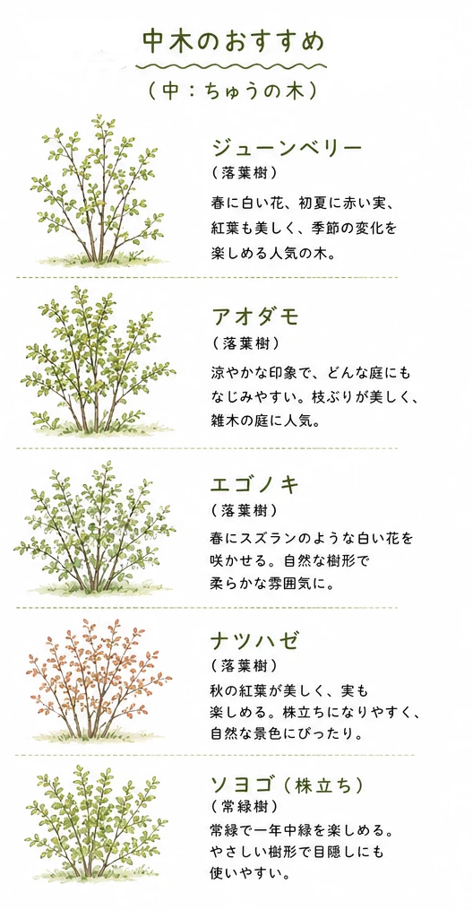 1787267955-ifg7zwjXsWR6BJ0Mhq8vNIQr.png