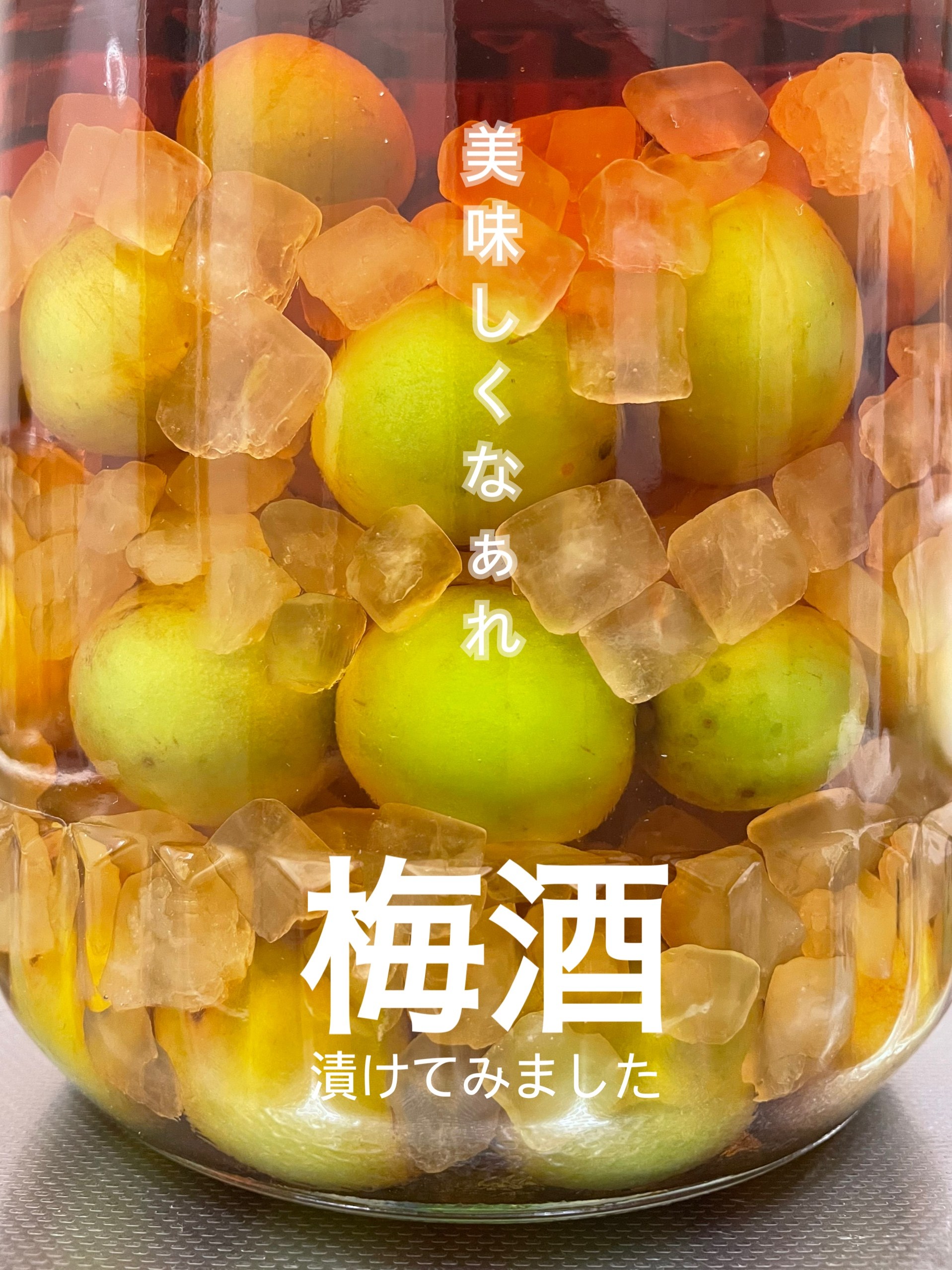 梅酒.JPG