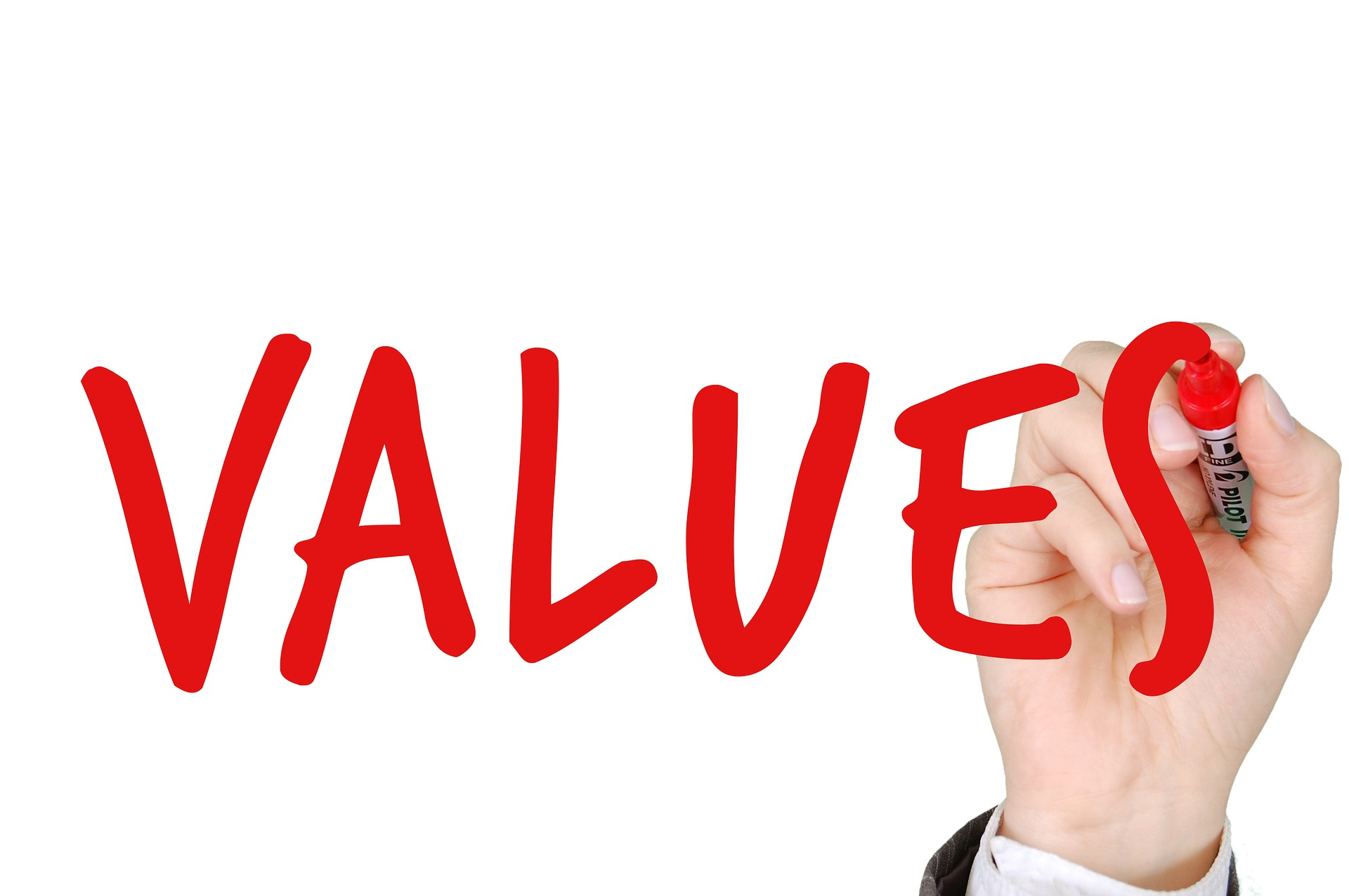 business-3208596_1920.jpg