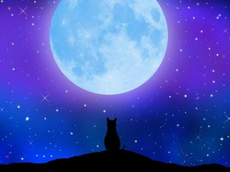 満月と猫.jpeg
