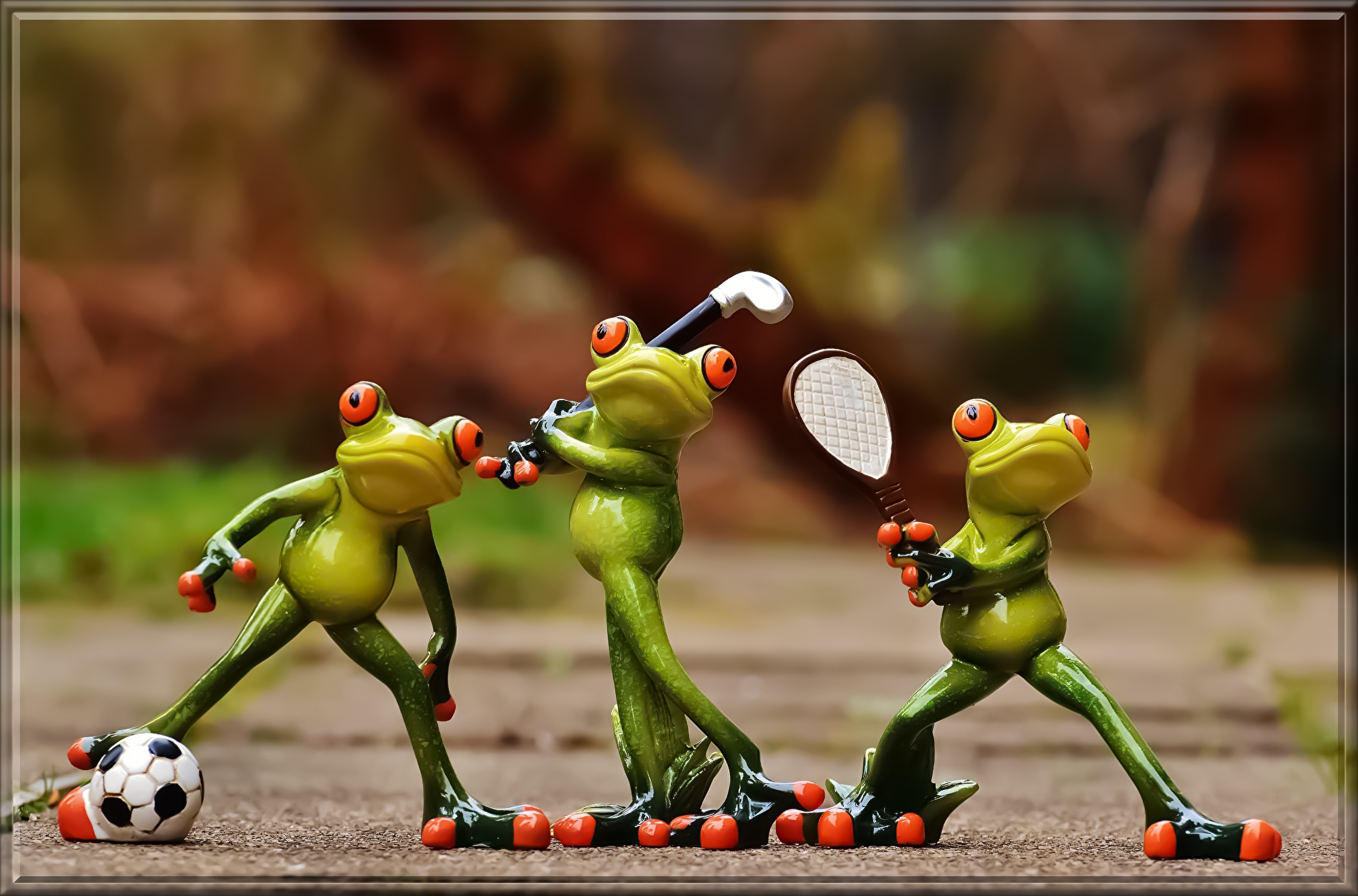 frogs-1212209.jpg