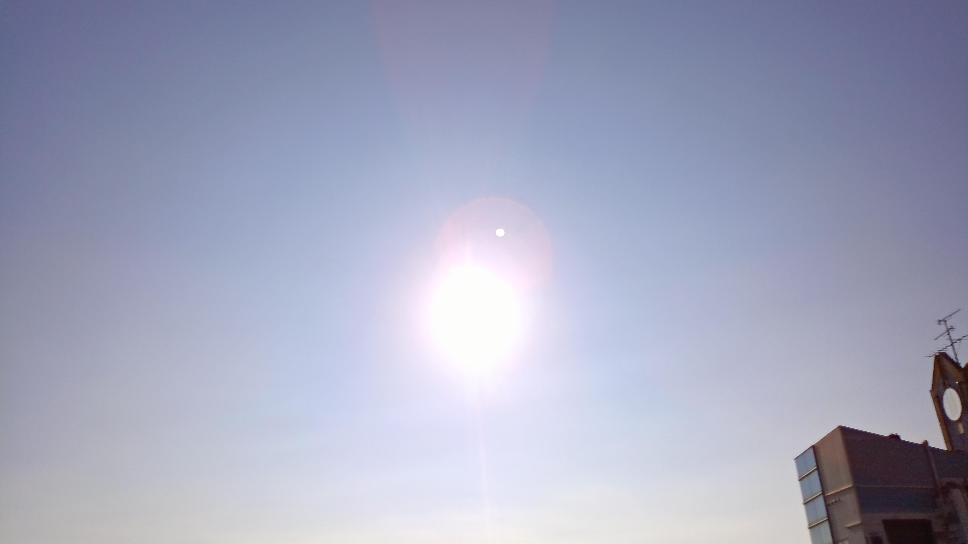 IMG_20240909_073716_935.jpg