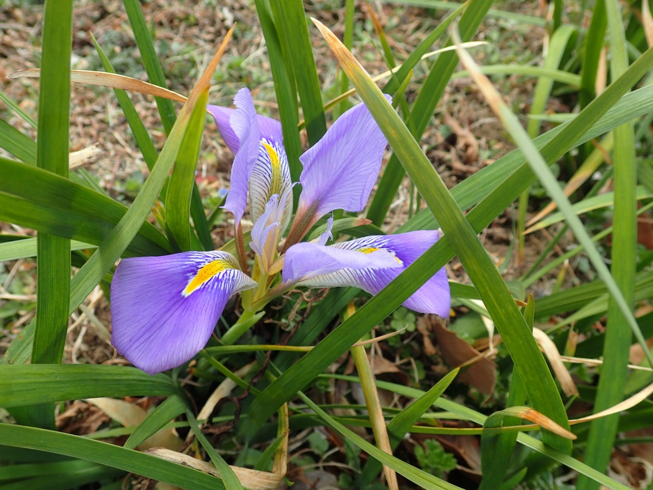 P2180290.JPG