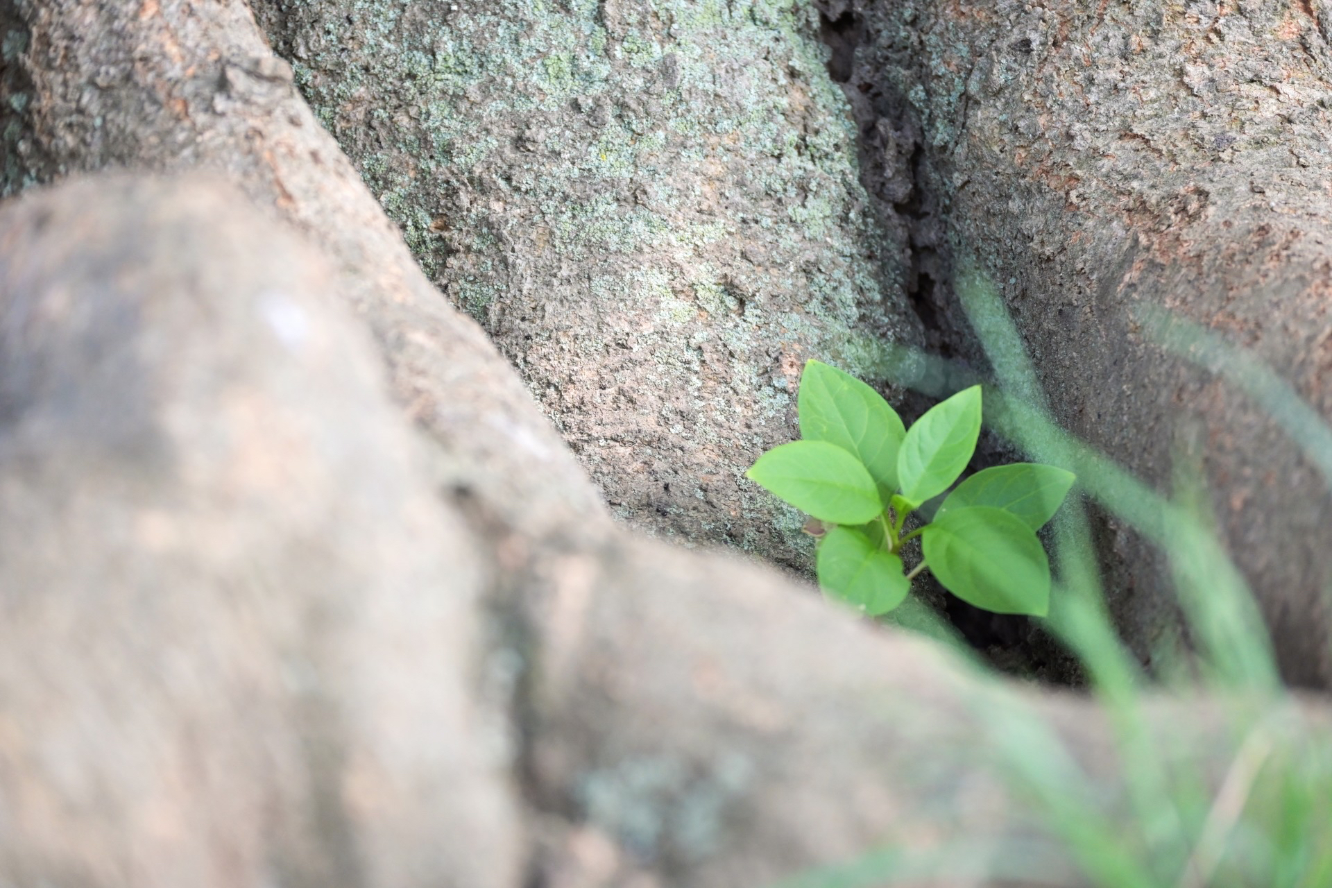 09D1A626-A003-4B5D-8CAA-28225ED37AC6.jpeg
