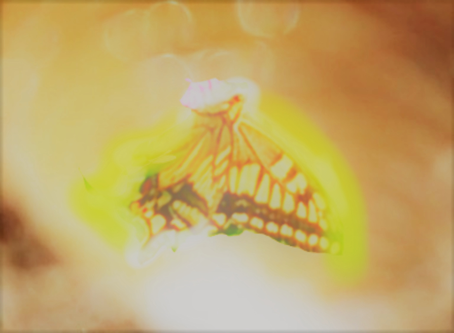 sketch-1669526030643 (3).png