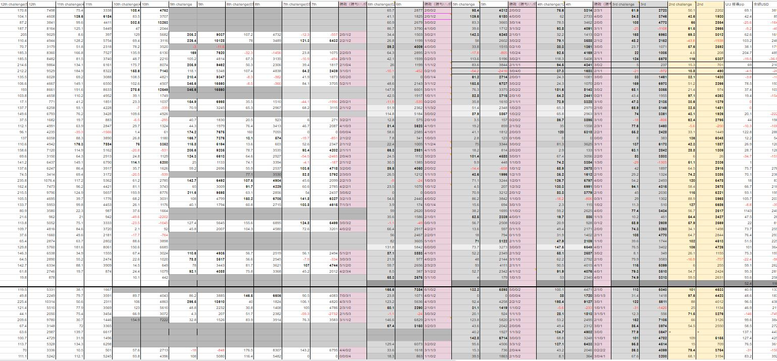 エクセル記録１.JPG