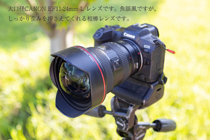 1W2A3364-強化-NR_1.jpg