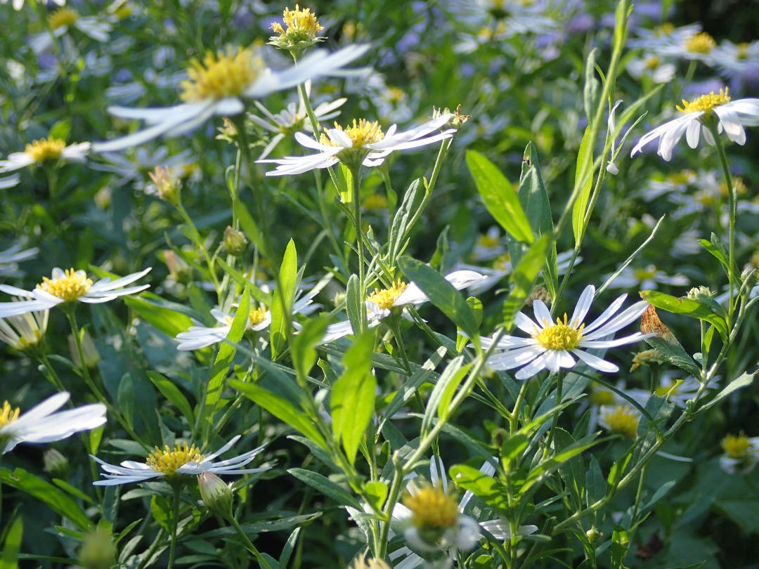 PA100868.JPG