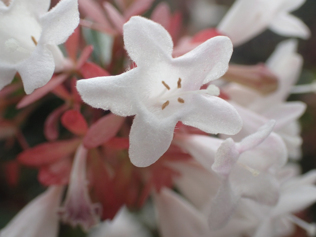 PA290295.JPG