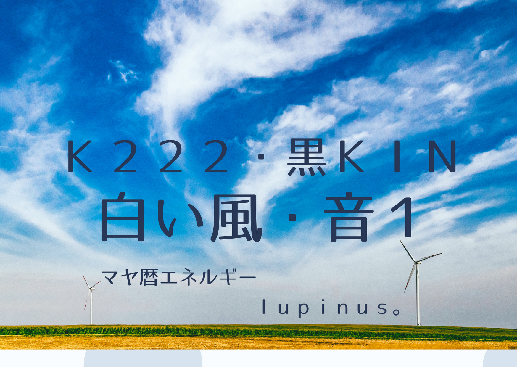 LUPINUS. (3).png