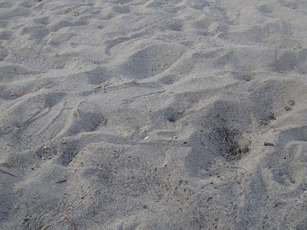 P8110261.JPG