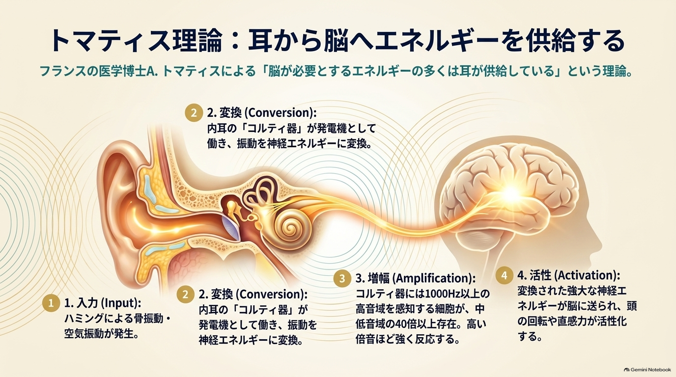 ハミング共鳴の科学_-_Slide_5.png