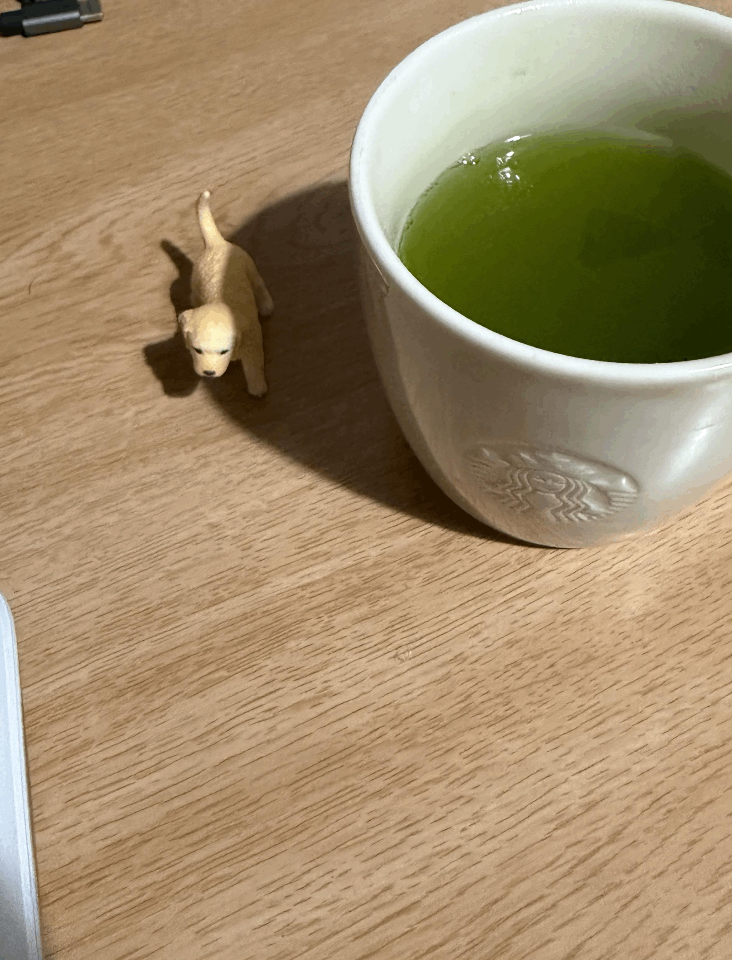 tempImagepD9h6t.gif