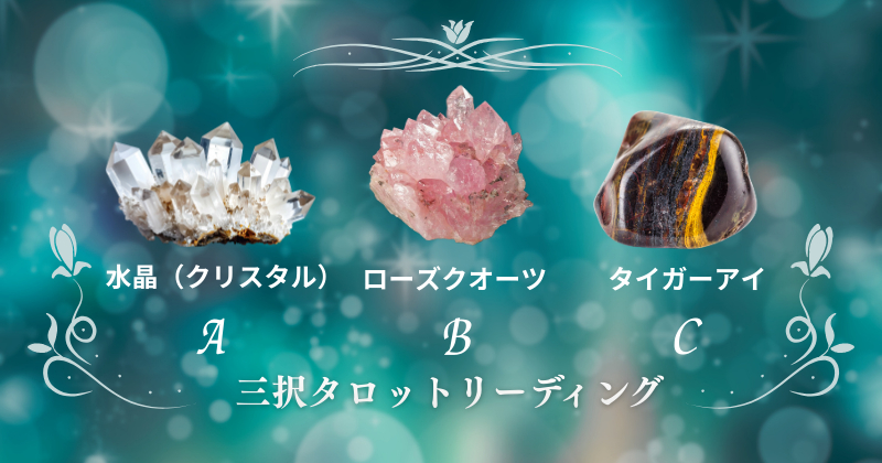 ブログ文章内挿入画像 (1).png