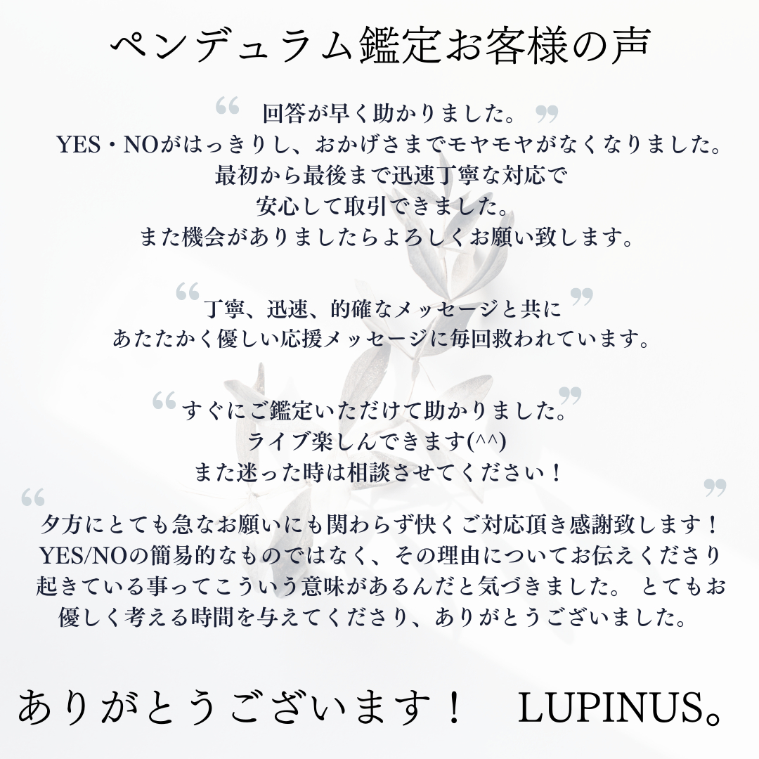 ペンデュラム鑑定感想.png