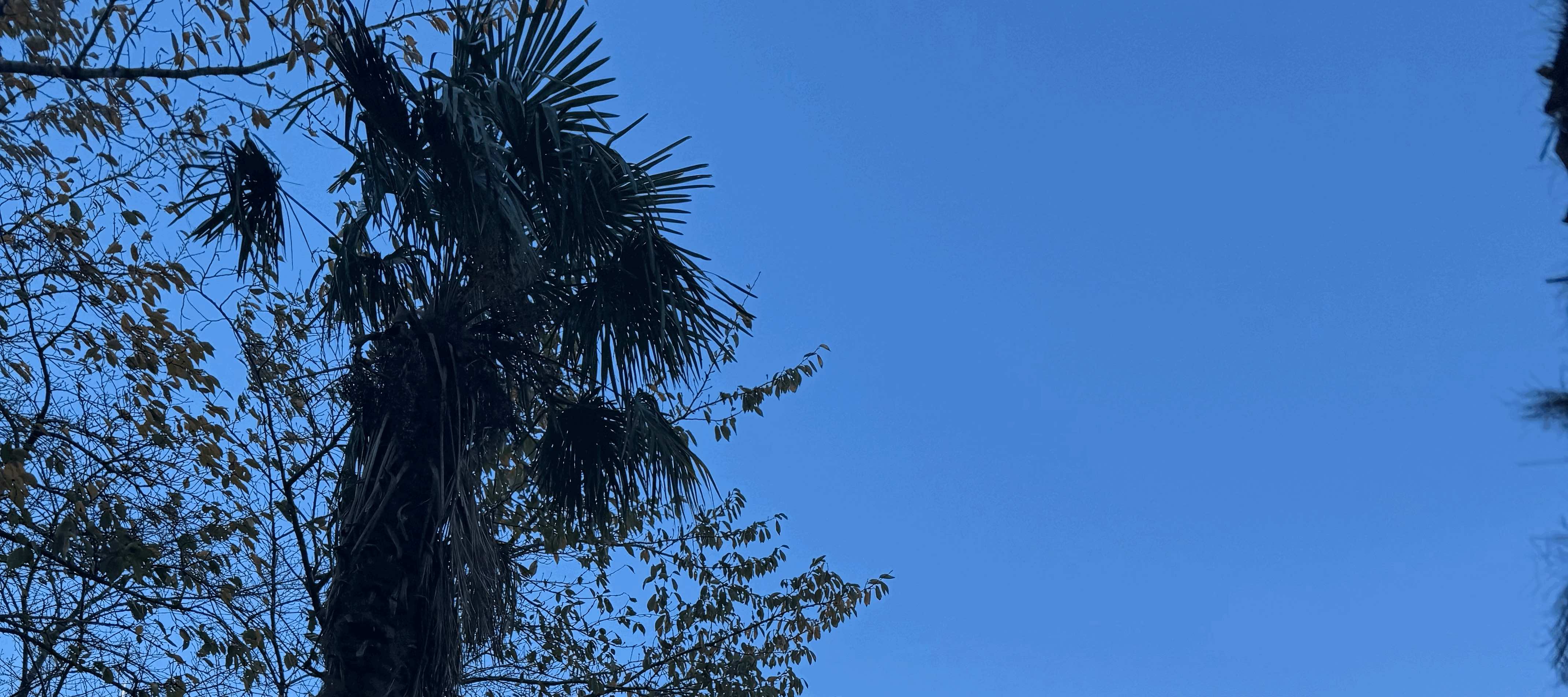tempImageLg1s9t.gif