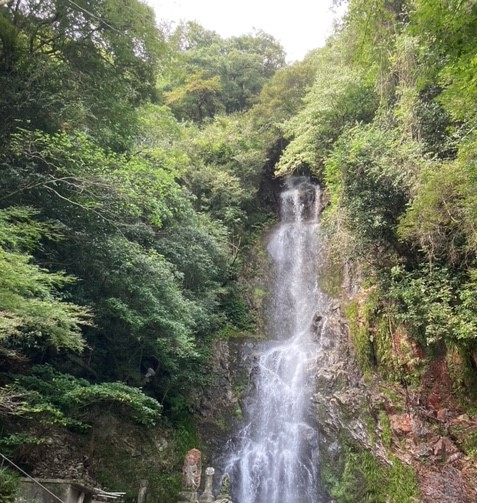image0 (17).jpeg