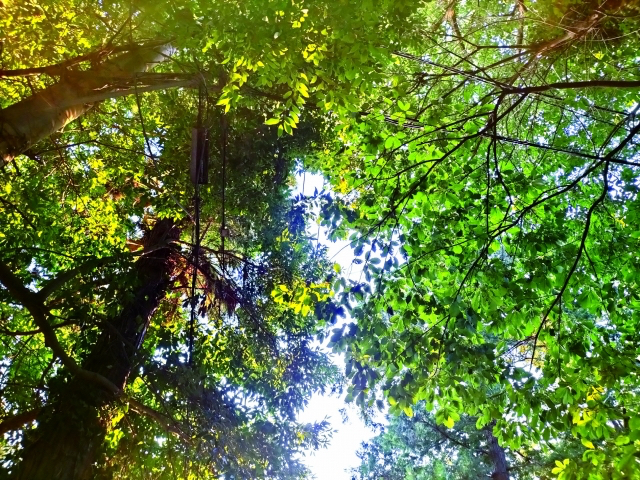 25062550_s.jpg