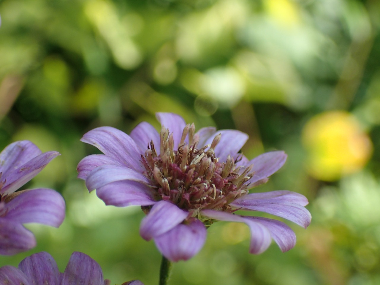 PB160665.JPG