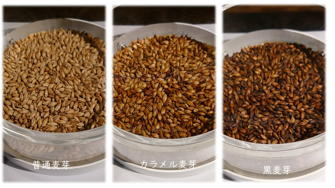 麦芽いろいろ年.jpg
