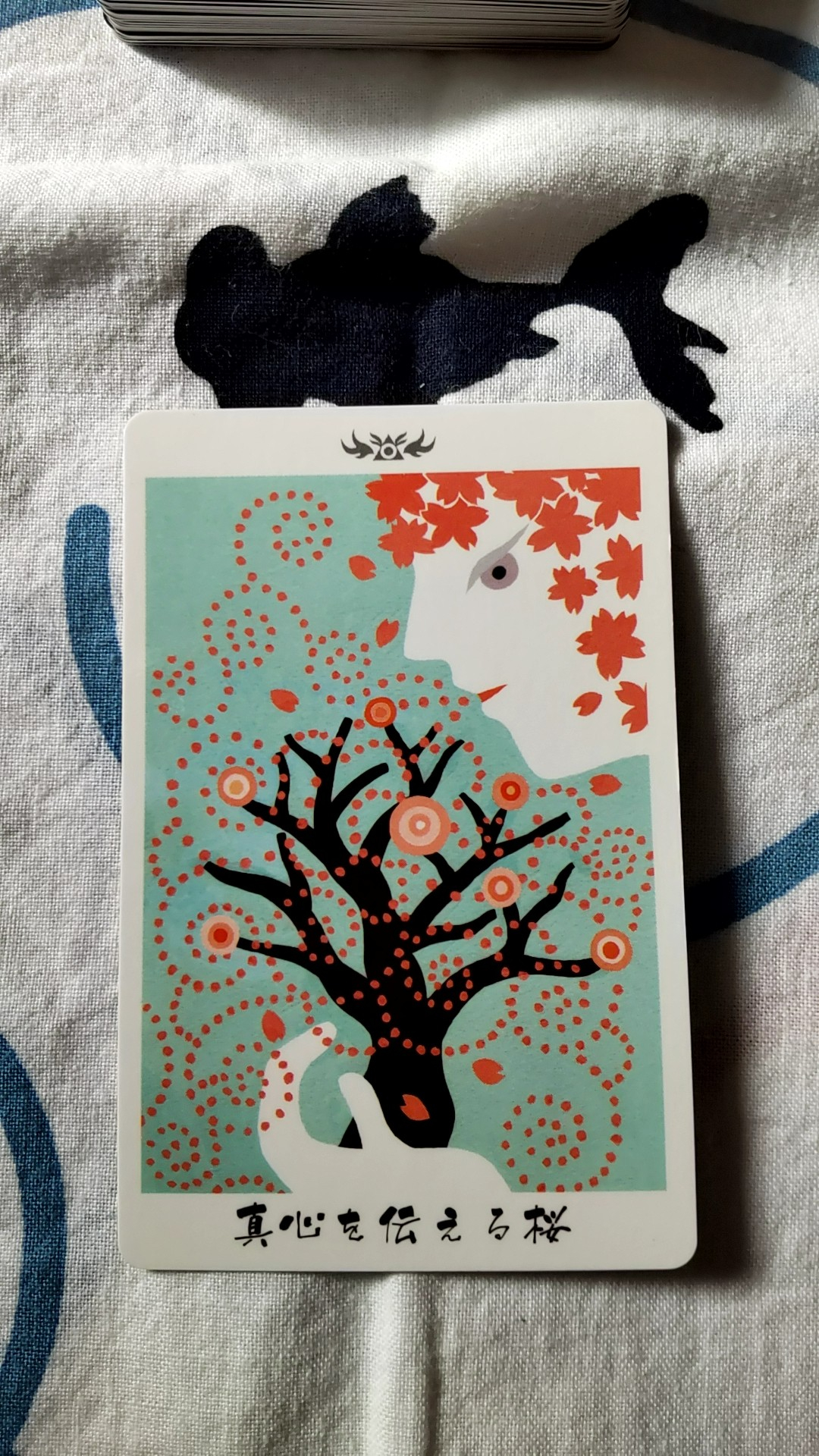 112803.jpg