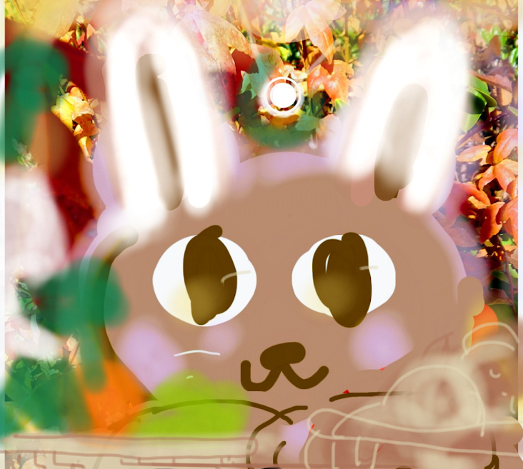 sketch-1672527852733.png