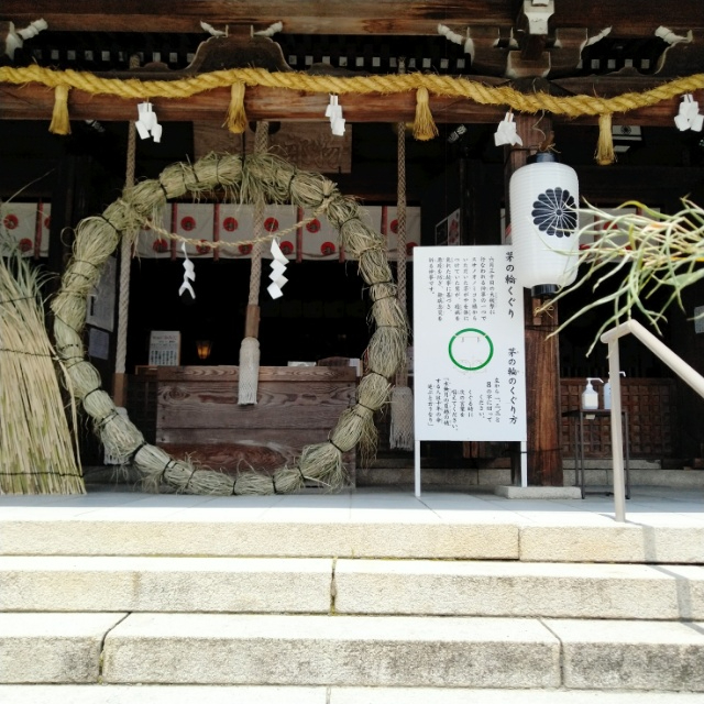 IMG_20250705_125230R - コピー.jpg