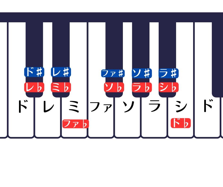 画像 1.jpeg