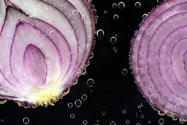 Red Onion Underwater02.jpg
