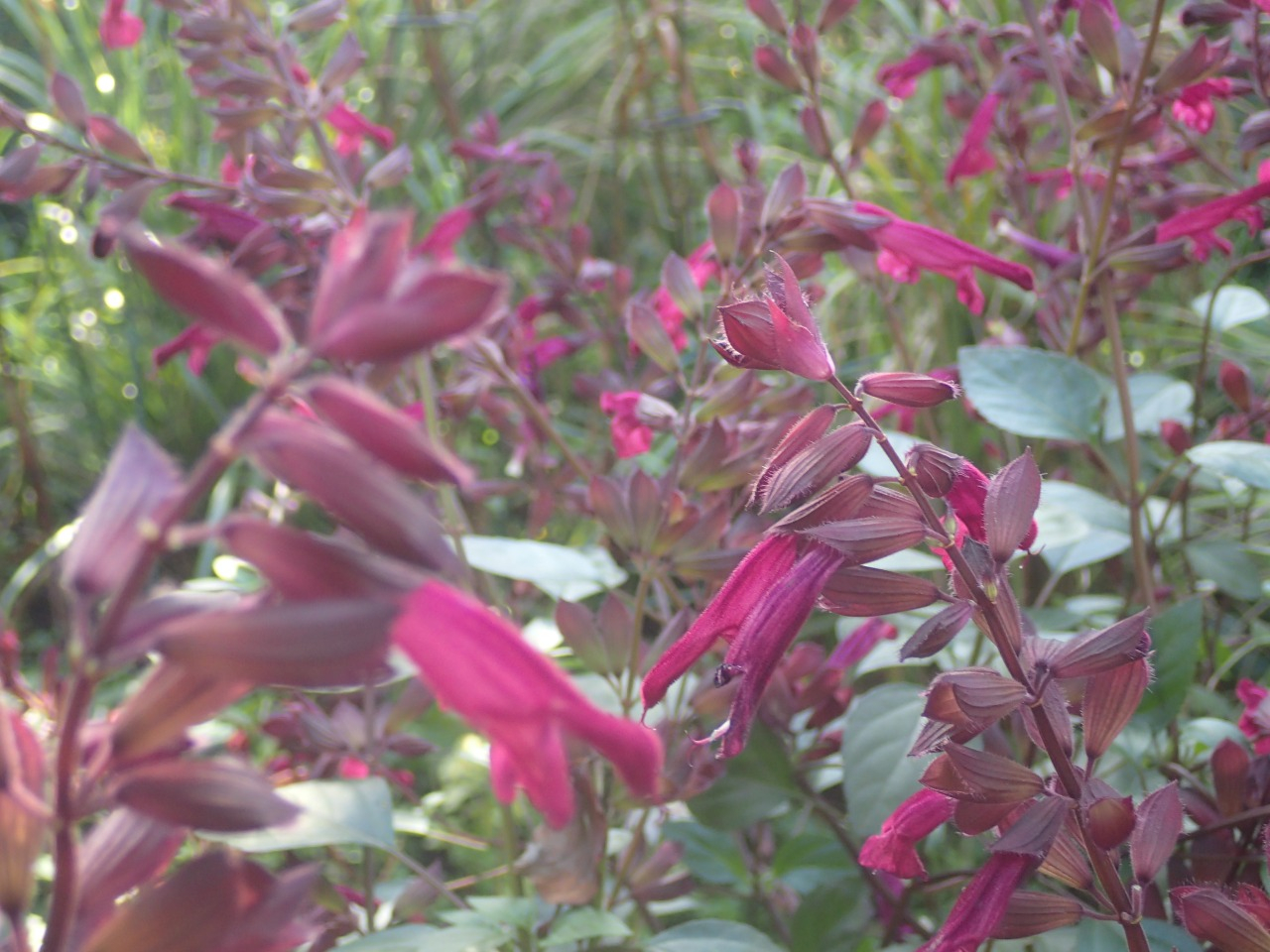 PB170816.JPG