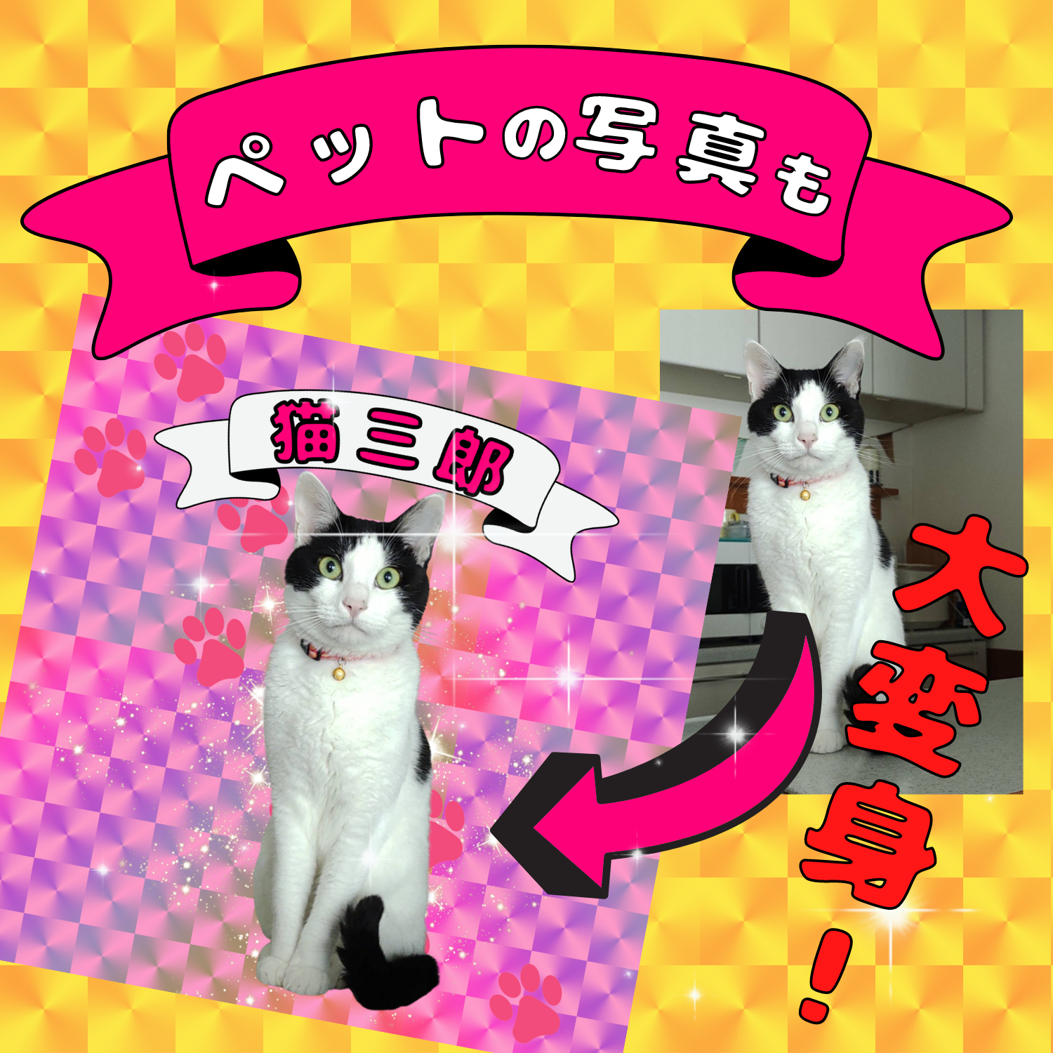 ねこサブサンプル.png