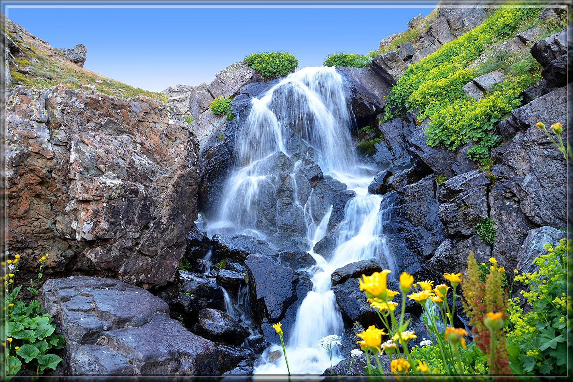 nature-2567675.jpg