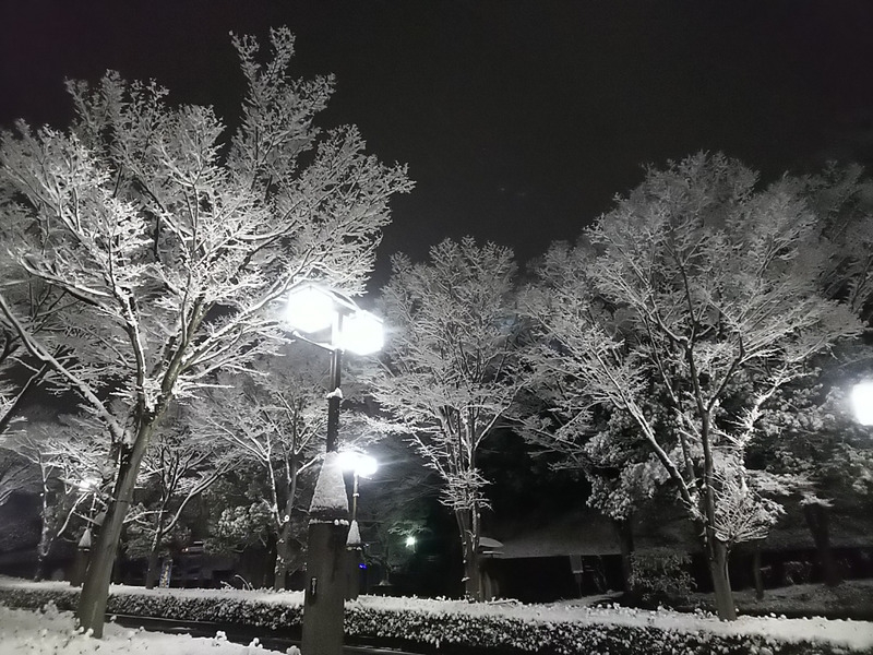 雪2.jpg