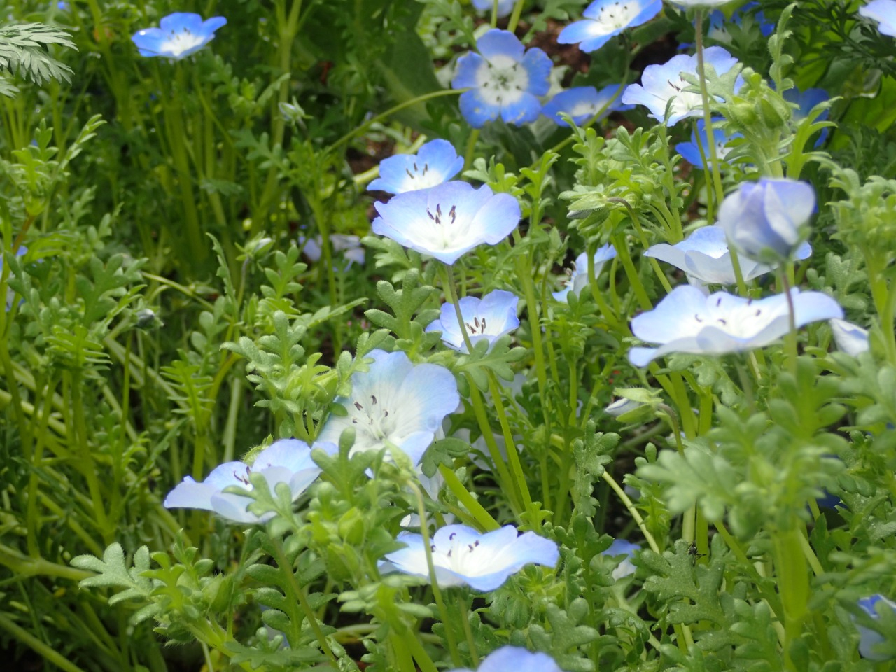 P4050284.JPG