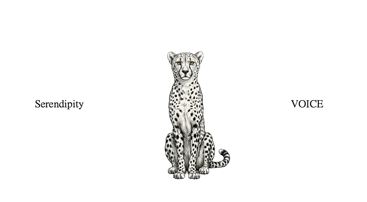 スクリーンショット 2026-04-04 17.37.19.png