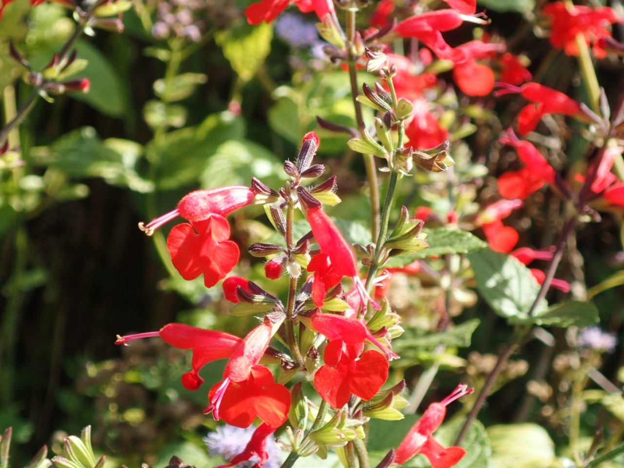 PB160827.JPG