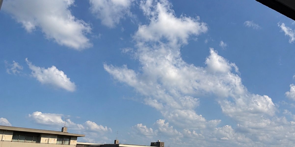 3DD63E78-923C-4AAB-A906-4FCC479250E4.jpg