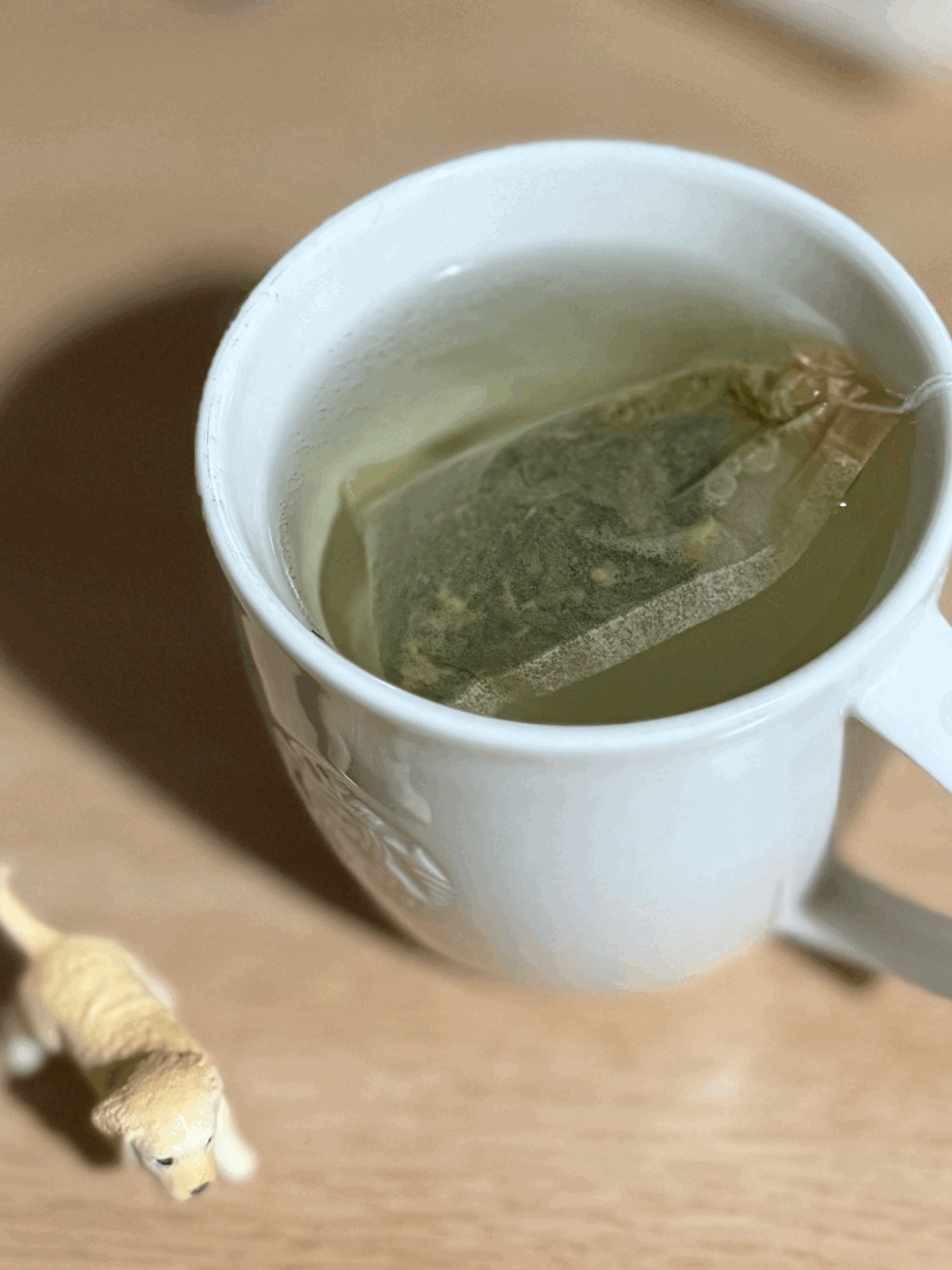 tempImageAoOdLh.gif